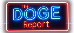 The DOGE Report